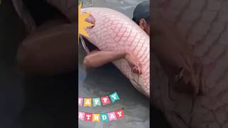 কি করছে দেখুন fishing  fish 🐠 🔥 [upl. by Earleen]