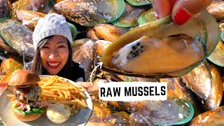 Eating RAW MUSSELS  New Zealands OLDEST pub South Island New Zealand  New Zealand FOOD TOUR [upl. by Namyl]