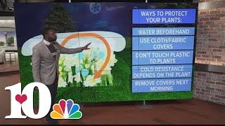 Weather Wednesday Lowering temps and how to protect your plants [upl. by Villada682]