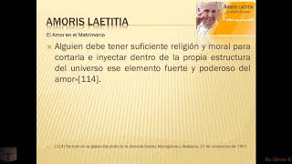 Amoris Laetitia Capitulo 4 quotSoporta Todoquot del 118 y 119 [upl. by Aneekat]