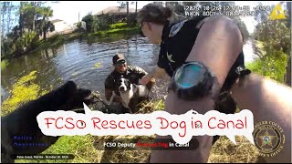 FCSO Deputy Rescues Dog in Canal Palm Coast [upl. by Ainsworth]