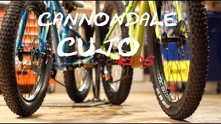 Cannondale Cujo for kids 20 amp 24 trail bike [upl. by Rennug8]