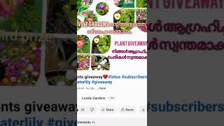 PLANTS GIVE AWAY gardening waterlily subscribers lovelygarden [upl. by Myrvyn638]