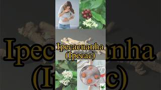 Ipecacuanha  Learn a herb daily  ipecac pharmacognosy gpat ayurveda ayush dysentery niper [upl. by Kaylee]