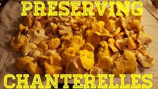 How to preserve Chanterelle Mushrooms [upl. by Kenzi]