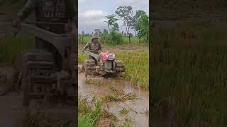 Farmers plow in deep water farming family plowing field bulldozer [upl. by Serilda]