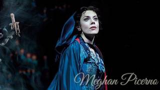 Wishing You Were Somehow Here Again  Meghan Picerno  Phantom of the Opera World Tour 2019 [upl. by Atthia192]