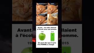 Bruit des croquettes 🤣🤣 drôle memes music rap [upl. by Valaree883]