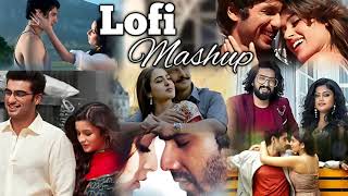 Lofi love mashup  hindi lofi songs slowed and reverb  bollywood lofi song [upl. by Bartosch]