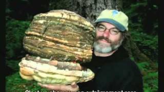 Paul Stamets  des champignons pour sauver le monde [upl. by Zetram]