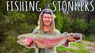 Trout Fishing for the Stocked STONKERS [upl. by Seniag]