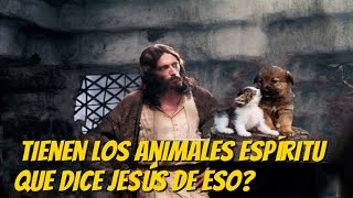 Tienen los animales espíritu qué dice Jesús [upl. by Gaudet407]