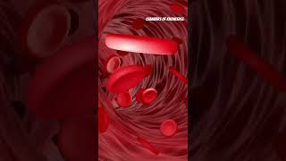 What is Hemolysis anemiaproblems [upl. by Esmerelda900]