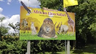 My visit to the African Lion Safari at HamiltonOntario  A full video of the park and attractions [upl. by Yxel170]