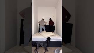 Neues Bett in einer Stunde 🥰😍 IG isabelabiesenbruch shortvideo diy [upl. by Hcirteid]