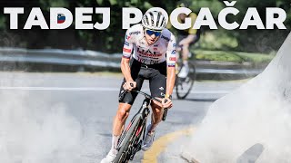 TADEJ POGAČAR IS BACK TO RACING  Powerful Cycling Battles 2024 [upl. by Feola]