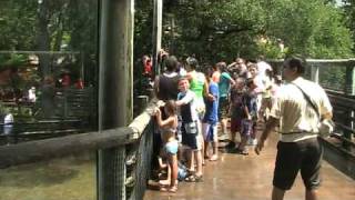 Tanganyika Tidal Wave at Busch Gardens 19892016 [upl. by Aisauqal]