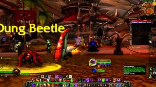 G91 Landshark World of warcraft  slow motion my battletag  gatedemon12589 [upl. by Olenolin549]