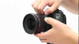 How to control focus and correct perspective with tiltshift lenses [upl. by Lienaj]