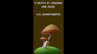 champignons aliment complet de la vitamine D et des polyinsaturés [upl. by Nairim]