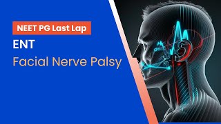 NEETPG Prep  ENT  Facial Nerve Palsy by Dr Ajay Bhandarkar [upl. by Ledeen]