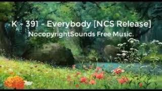 K  391  Everybody NCS Release NocopyrightSounds Free Music [upl. by Naashom]