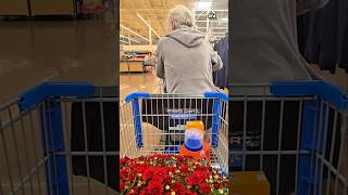 Maximum Security Secret Shopping People In Walmart prank laugh funny reaction shorts [upl. by Critchfield678]