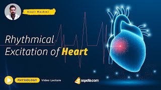 Rhythmical Excitation of Heart  Medical Physiology Lecture  Doctors VLearning Platform [upl. by Silsbye193]