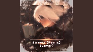 Streets Remix Cover [upl. by Dorison211]