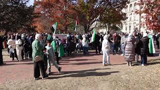 Syrians celebrating the Syrian oppositions victory in Washington DC [upl. by Aneeg]