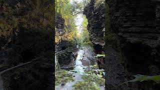 Watkins Glen NY hike [upl. by Waters483]