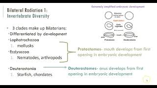 102 Animal Diversity 3 Bilateral Protostomes Mollusks and Arthropods [upl. by Eidur788]