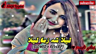 Poshto New Song  Lela Sha Zama Lela  slowedreverbSong Lofi Song Sad Song Tappy [upl. by Cutlerr]