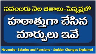 నవంబరు నెల pensions లో హఠాత్తుగా చేసిన మార్పులు ఇవే  November Pensions  Sudden Changes Explained [upl. by Geehan]