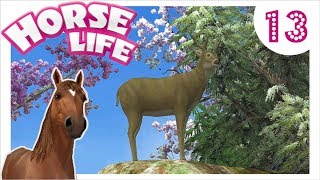 Horse Life 2  Freunde für immer Ein REH 😍  Lets Play 13 DEUTSCH [upl. by Alliehs]