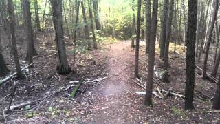 The Joy of Off Leash Hiking using the E Collar [upl. by Liebowitz842]