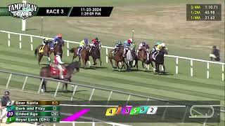 Tampa Bay Downs Carrera 3  23 de Noviembre 2024 [upl. by Okim]