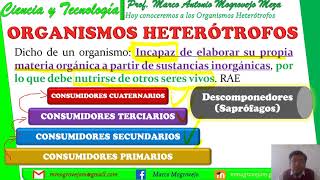 Organismos Heterótrofos y los Saprófagos Detritívoros y Descomponedores [upl. by Yeslah]