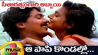 Seetharatnam Gari Abbayi Telugu Movie Songs  Aa Paapi Kondallo Full Video Song  Roja  Vinod Kumar [upl. by Alacim]