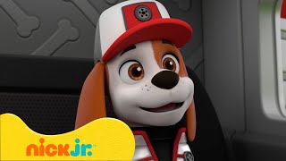 Psi Patrol  Najlepsze Momenty z Piesków z Dużej Ciężarówki 🚒🐶  Nick Jr Polska [upl. by Rebe]