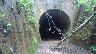 Abandoned and Disused Tunnel on the Kent and East Sussex Railway  update 2017 KESR Tenterden RVR [upl. by Asseret]