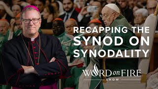 Recapping the Synod on Synodality [upl. by Aienahs239]