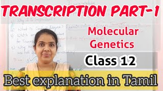 Transcription in Tamil Part 1 Molecular Genetics NEET CLASS 12 Important topic [upl. by Eilagam]