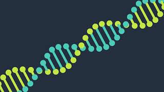 2D DNA structure floating animation free download [upl. by Nadnarb]