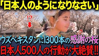 「日本人が救ってくれた！」ウズベキスタンが感激して親日になり、桜1300本を植えた話に海外も涙【海外の反応】 [upl. by Mosra610]