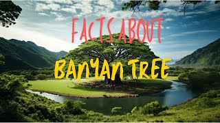 Interesting Facts about Banyan Tree [upl. by Orford45]