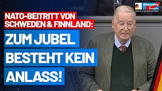 Alexander Gauland zum NatoBeitritt von Schweden und Finnland  AfDFraktion im Bundestag [upl. by Akitan715]