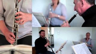 Lonarc Oboe Trio play Rondo 4th movt from Johann Wenths Divertimento in Bbmaj [upl. by Catlin]