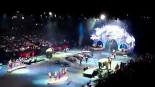 Ringling Brothers Built to Amaze Elephants act in Monterrey [upl. by Dannie]