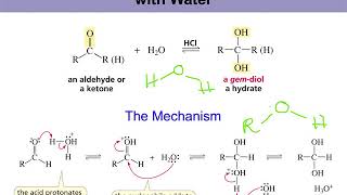 Organic Chemistry II Chapter 16 part 5  enamine formation acetal formation [upl. by Llertniuq583]